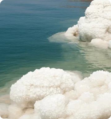 dead-sea-img
