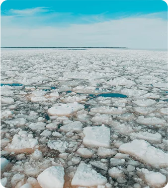 Leptozan official bottle natural weight management support 10