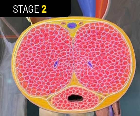 Spartamax male vitality gummies official bottle - 21
