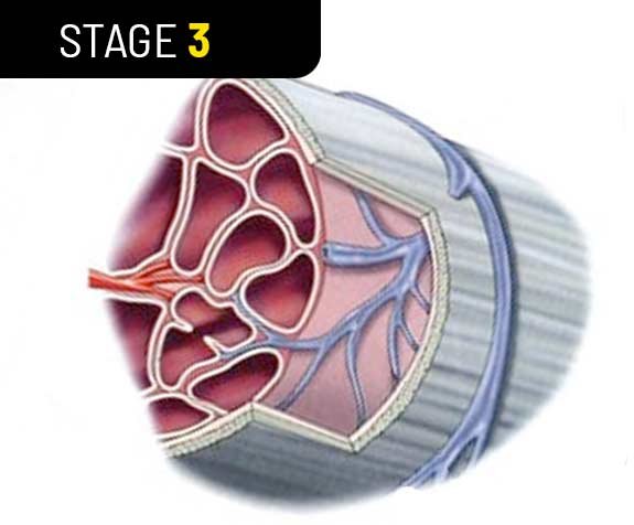 Spartamax male vitality gummies official bottle - 22
