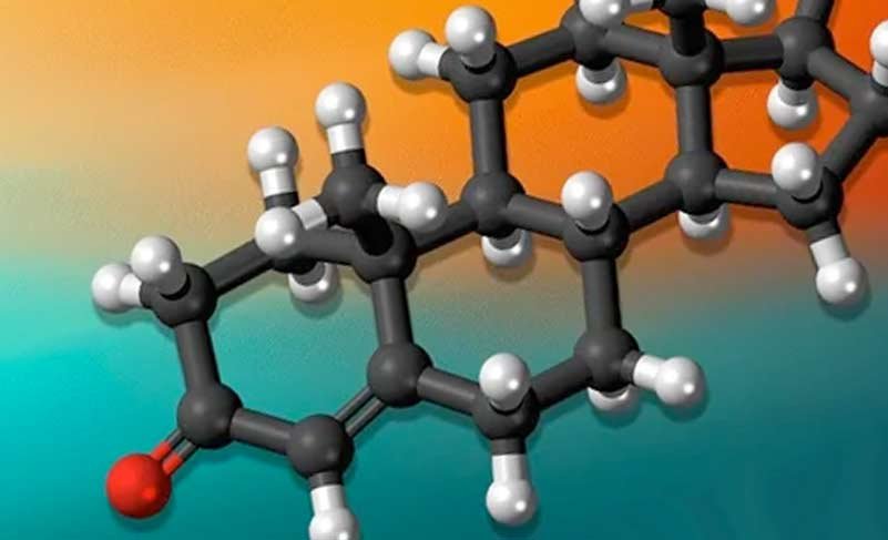 Spartamax male vitality gummies official bottle - 19